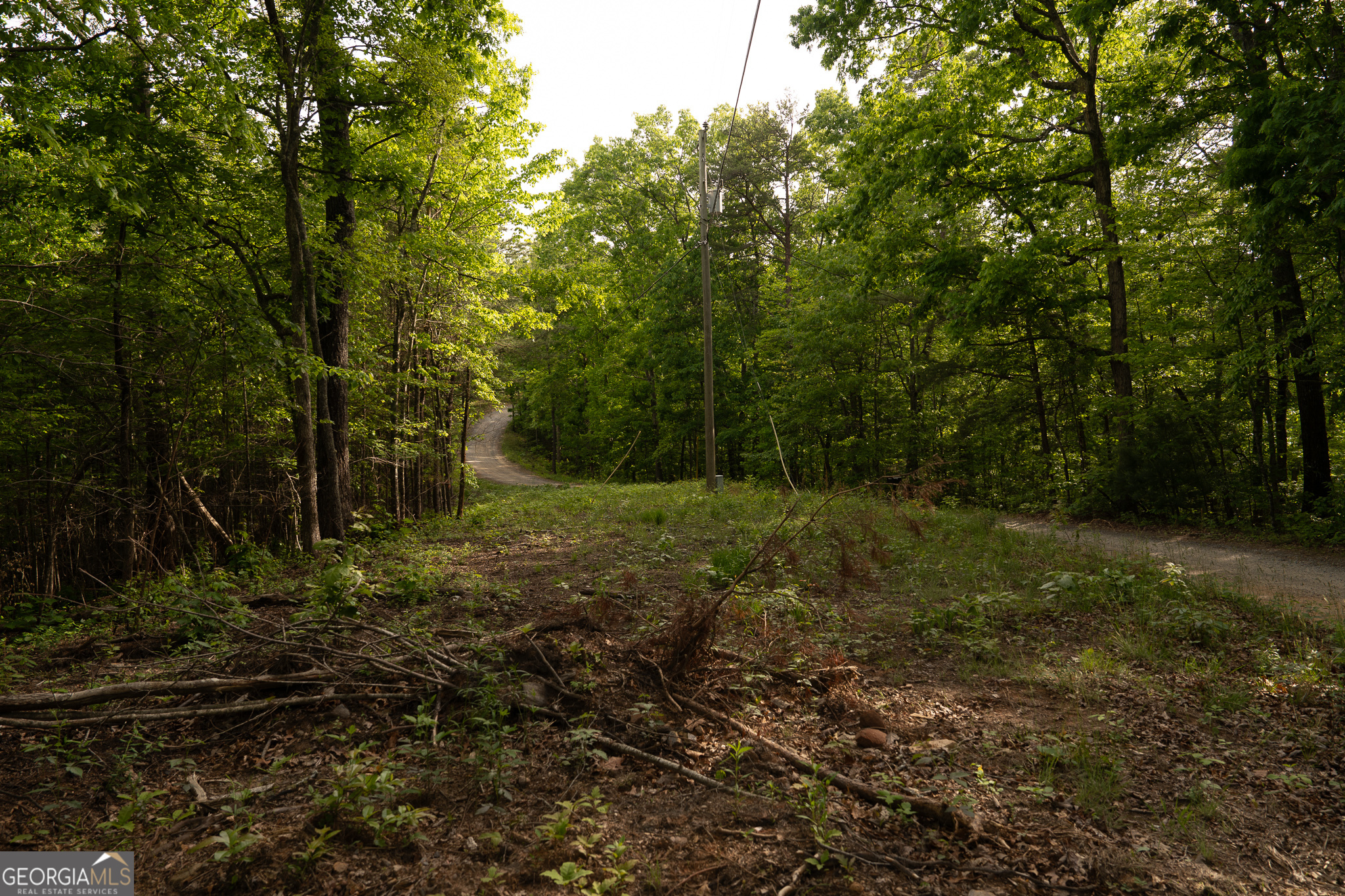 Tract 1 Century Lane Blue Ridge, GA 30513 - Photo 23 of 43
