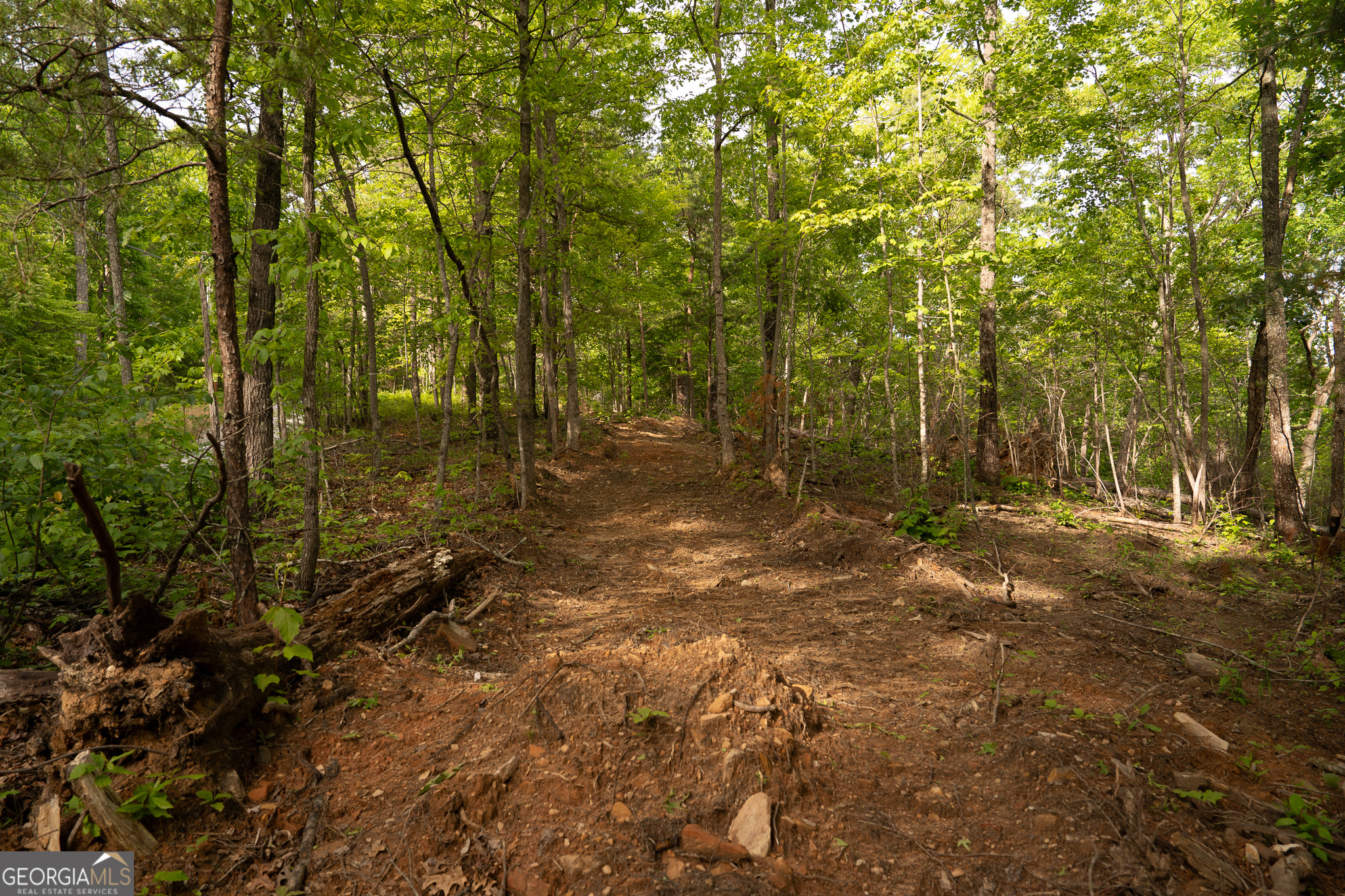 Tract 1 Century Lane Blue Ridge, GA 30513 - Photo 24 of 43
