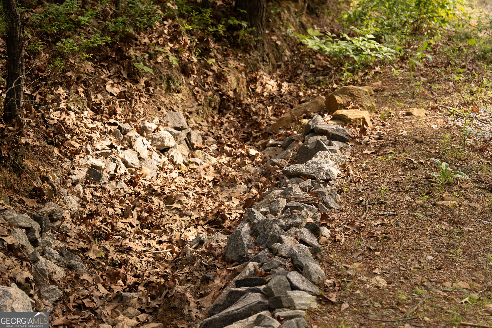 Tract 1 Century Lane Blue Ridge, GA 30513 - Photo 26 of 43