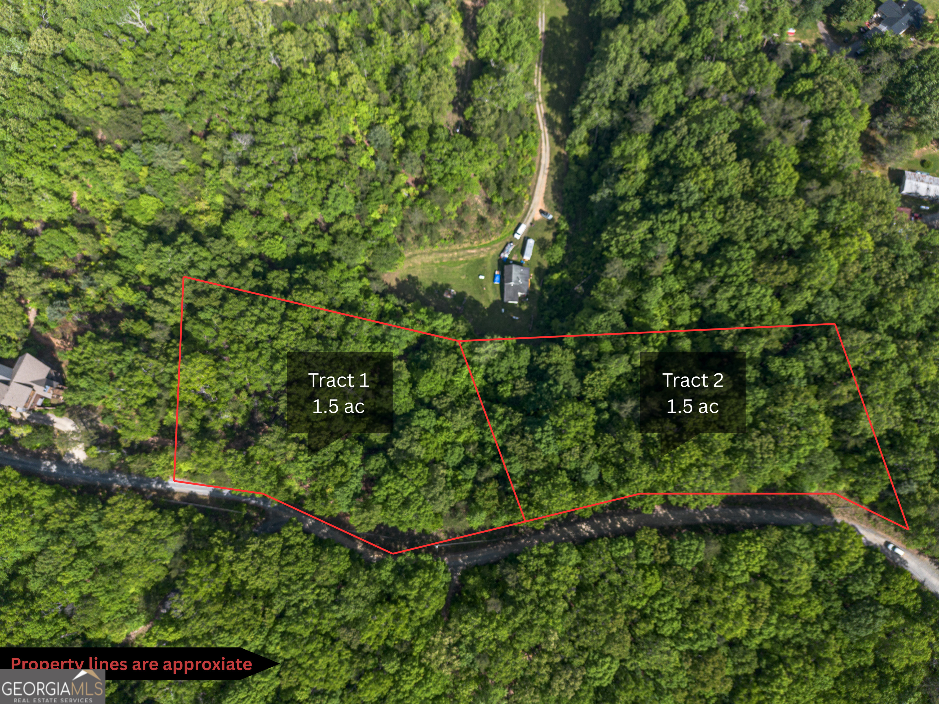 Tract 1 Century Lane Blue Ridge, GA 30513 - Photo 28 of 43