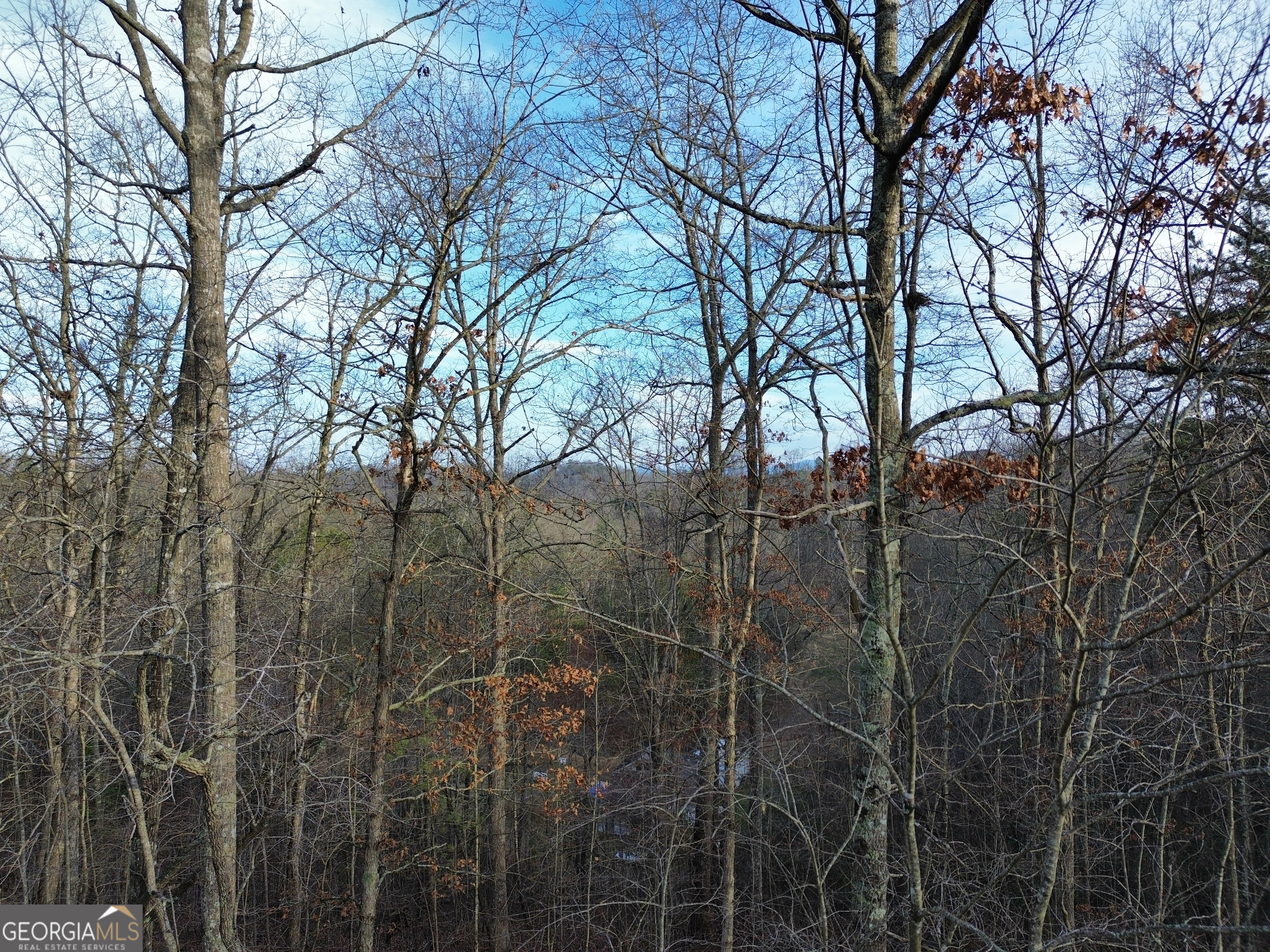 Tract 1 Century Lane Blue Ridge, GA 30513 - Photo 29 of 43