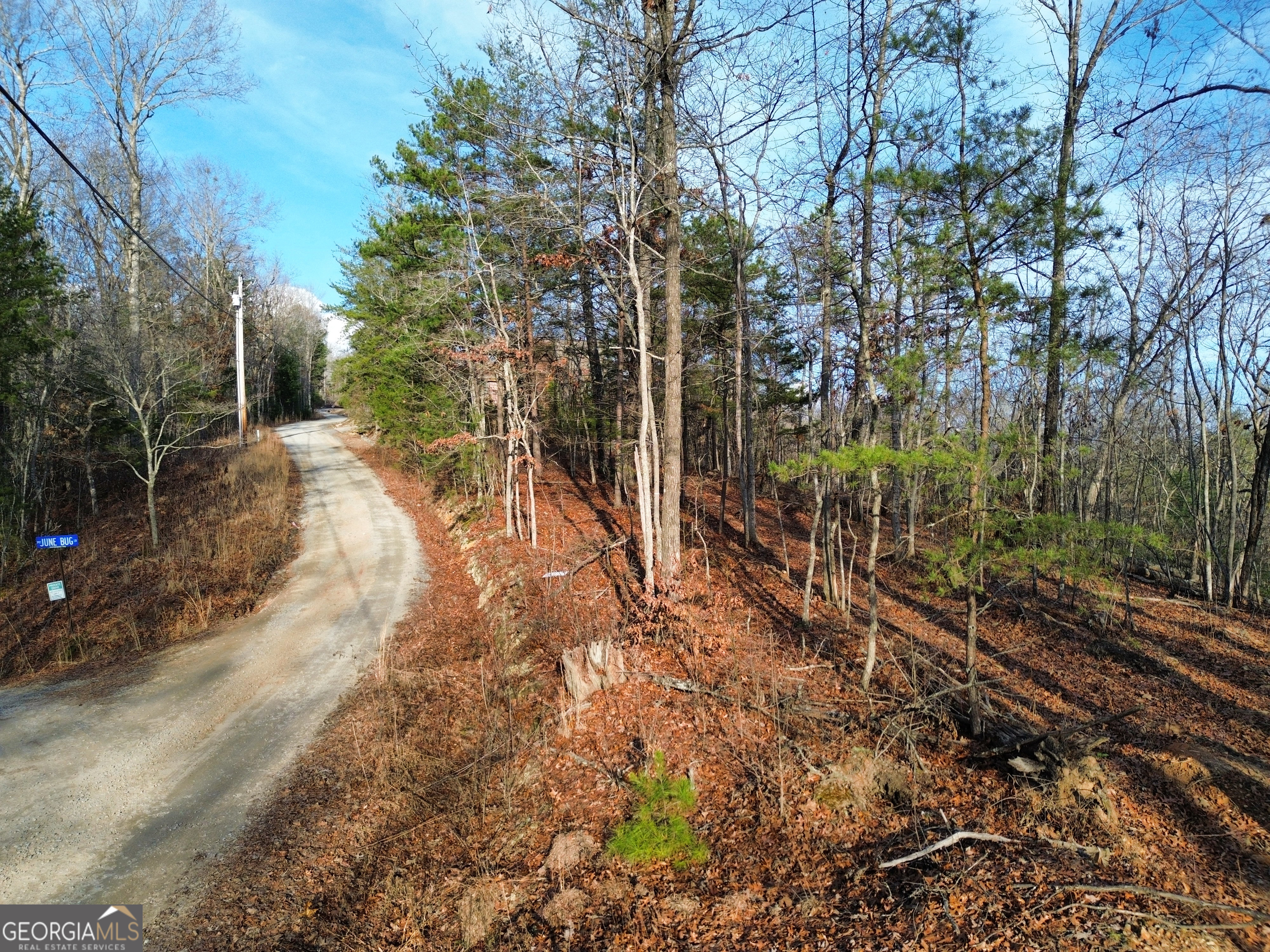 Tract 1 Century Lane Blue Ridge, GA 30513 - Photo 32 of 43