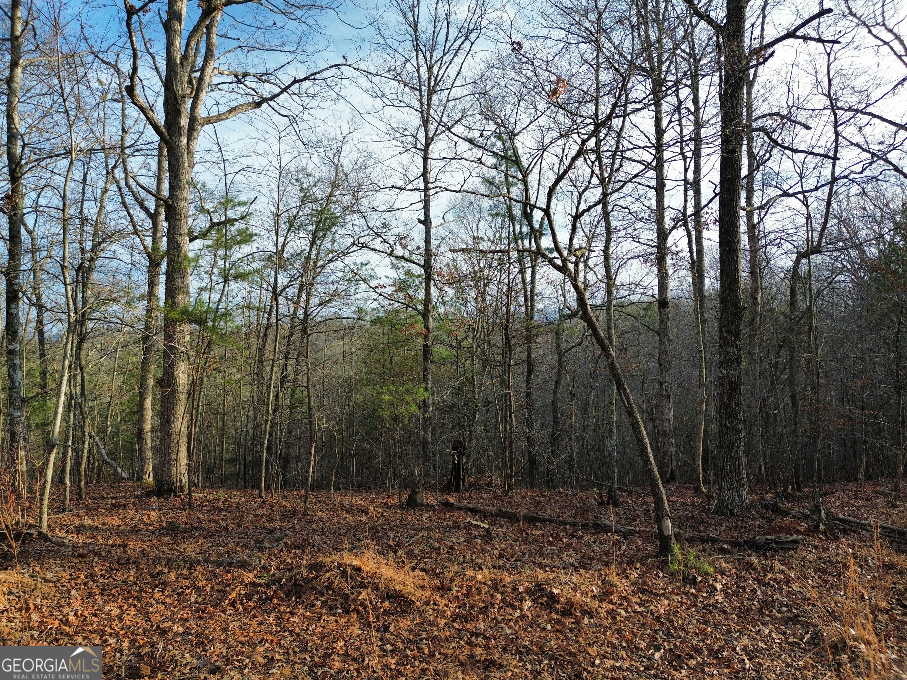 Tract 1 Century Lane Blue Ridge, GA 30513 - Photo 33 of 43