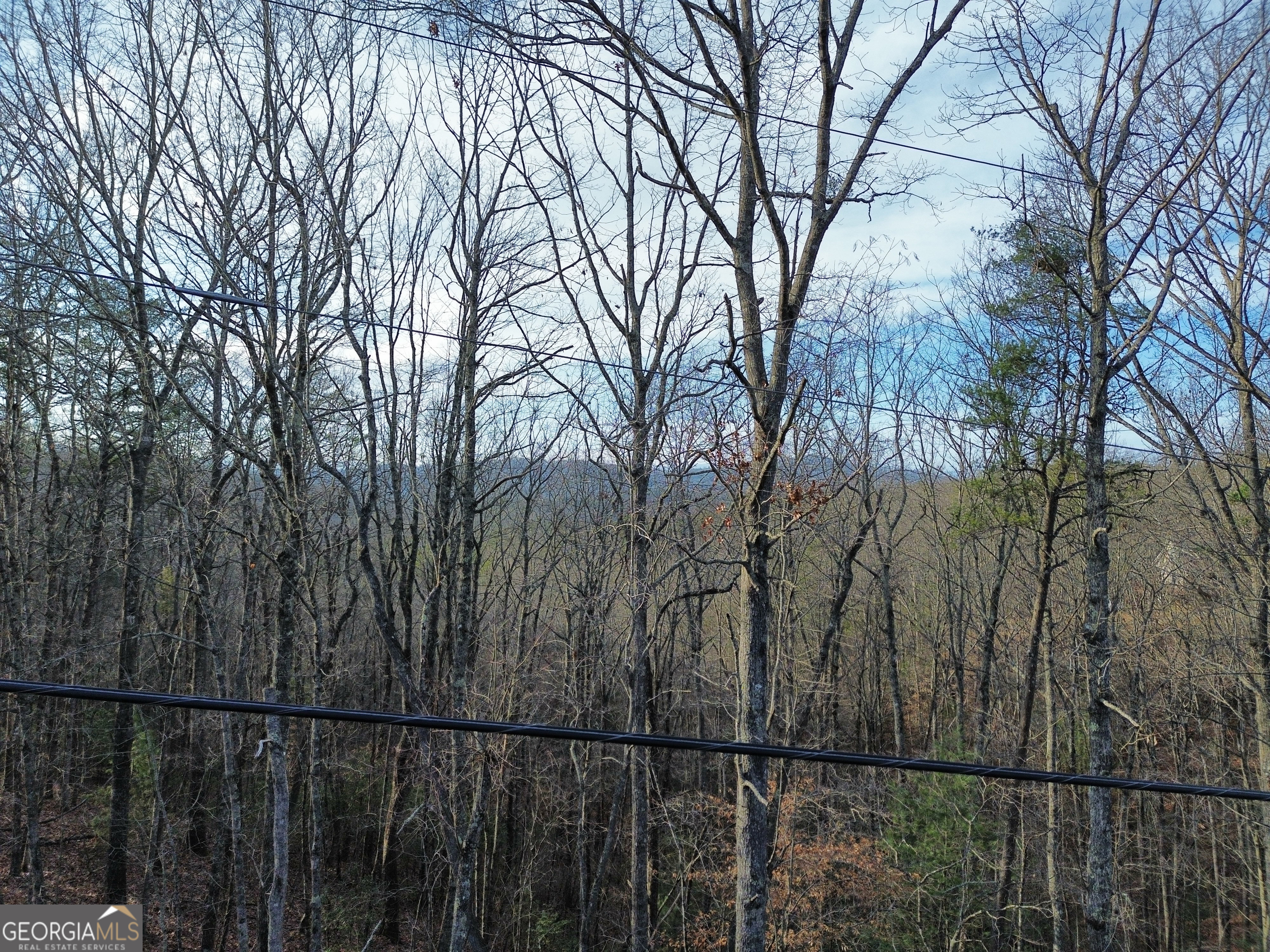 Tract 1 Century Lane Blue Ridge, GA 30513 - Photo 34 of 43