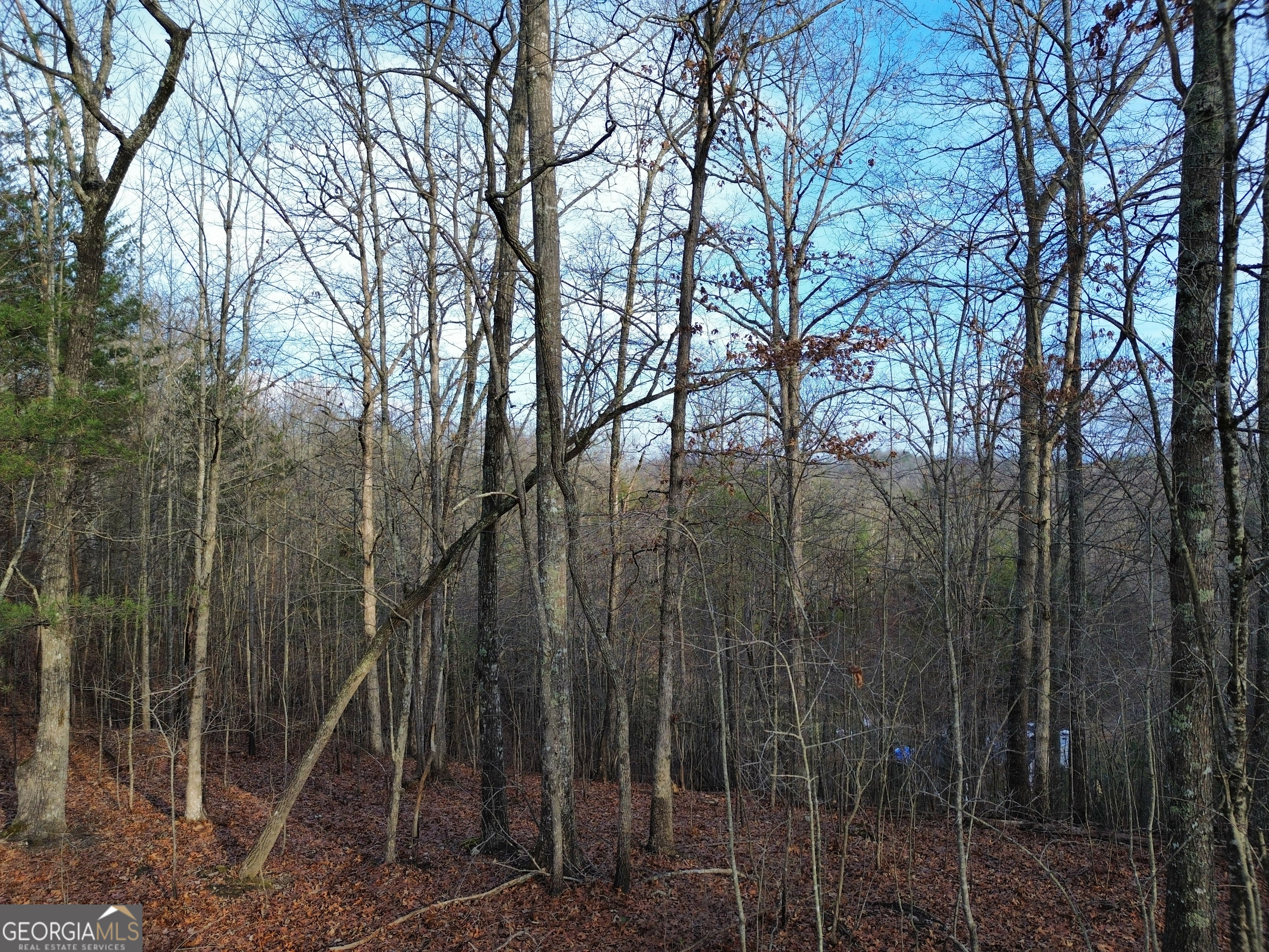 Tract 1 Century Lane Blue Ridge, GA 30513 - Photo 35 of 43