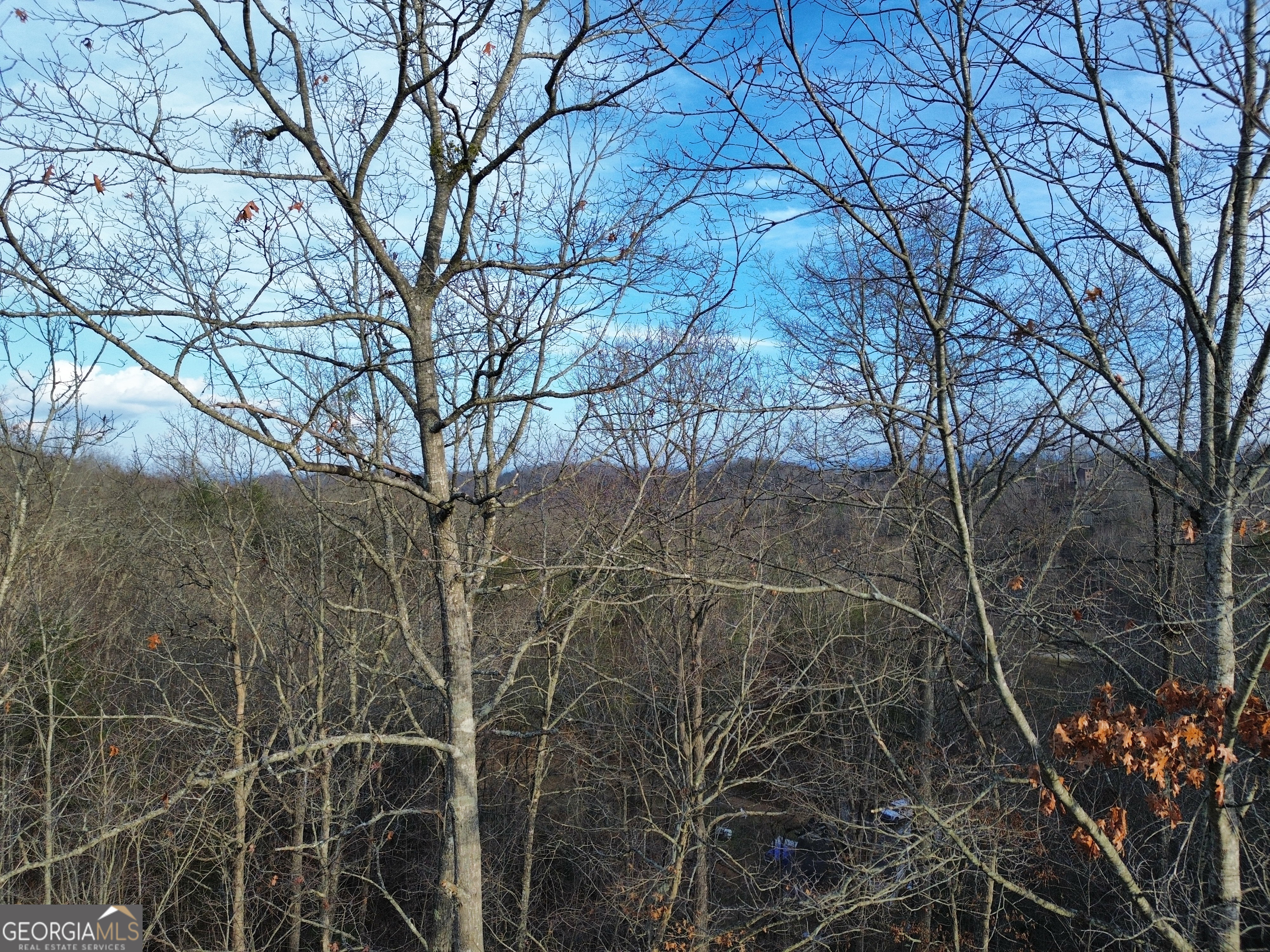 Tract 1 Century Lane Blue Ridge, GA 30513 - Photo 36 of 43