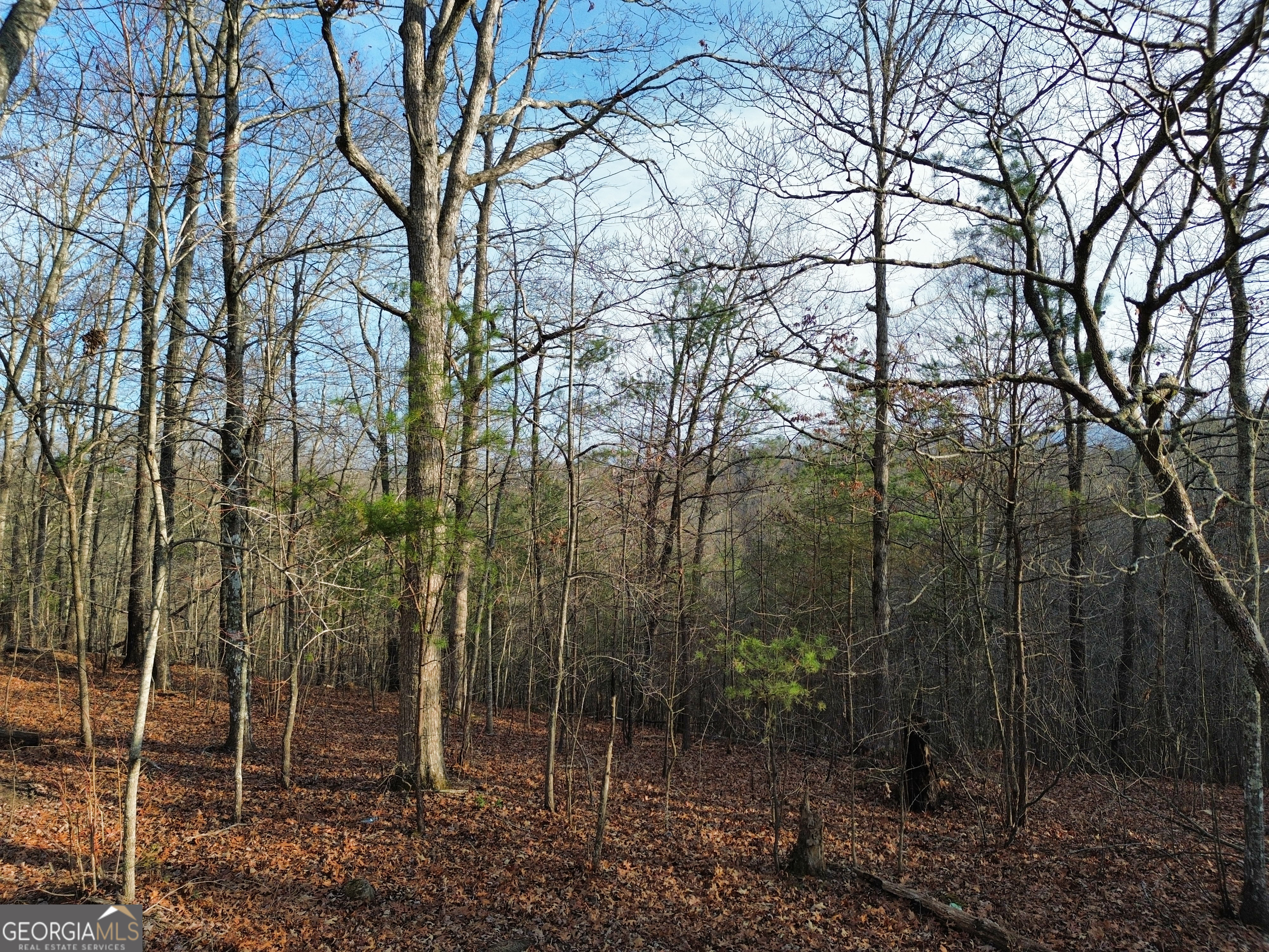 Tract 1 Century Lane Blue Ridge, GA 30513 - Photo 37 of 43