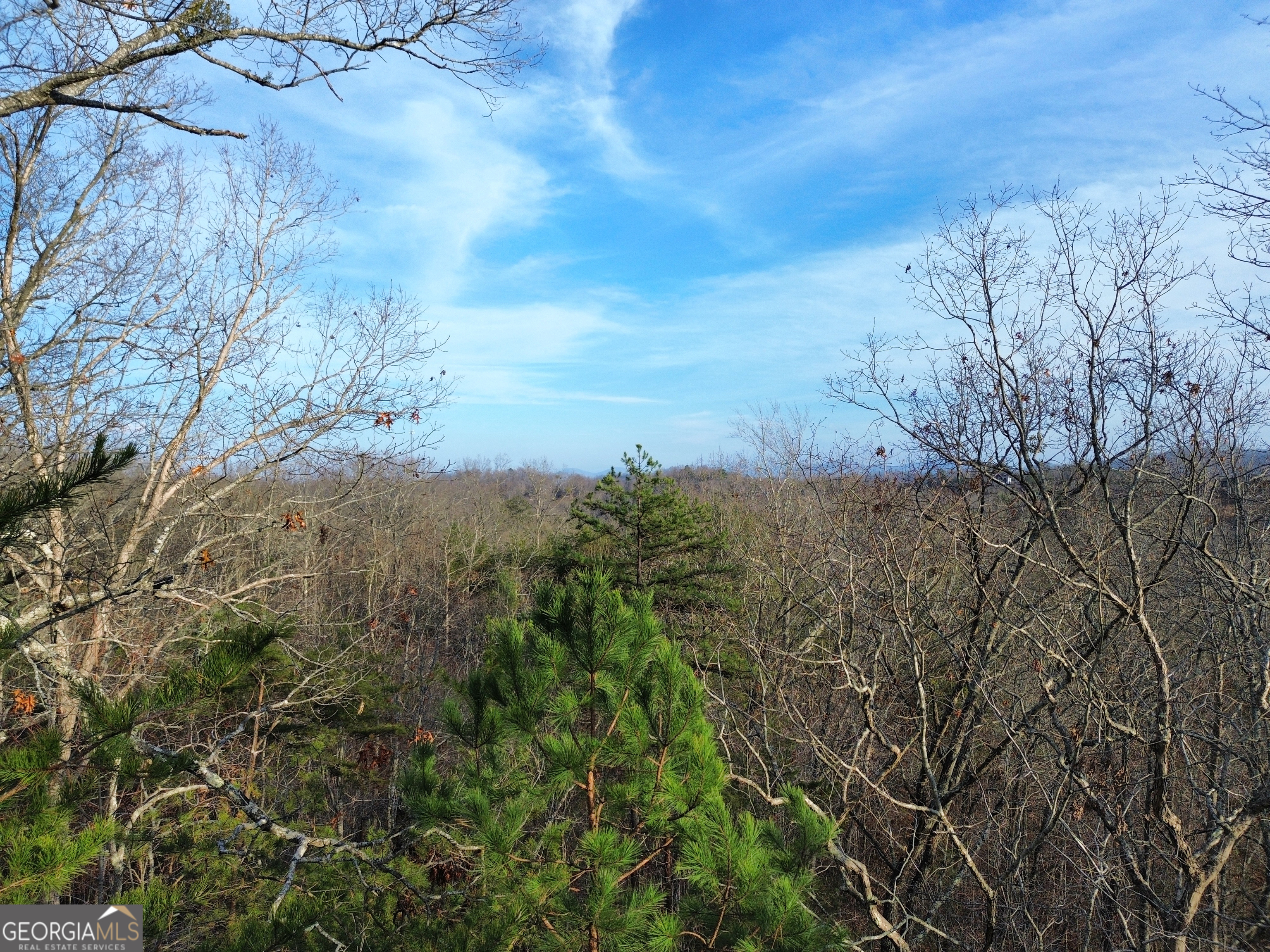 Tract 1 Century Lane Blue Ridge, GA 30513 - Photo 38 of 43