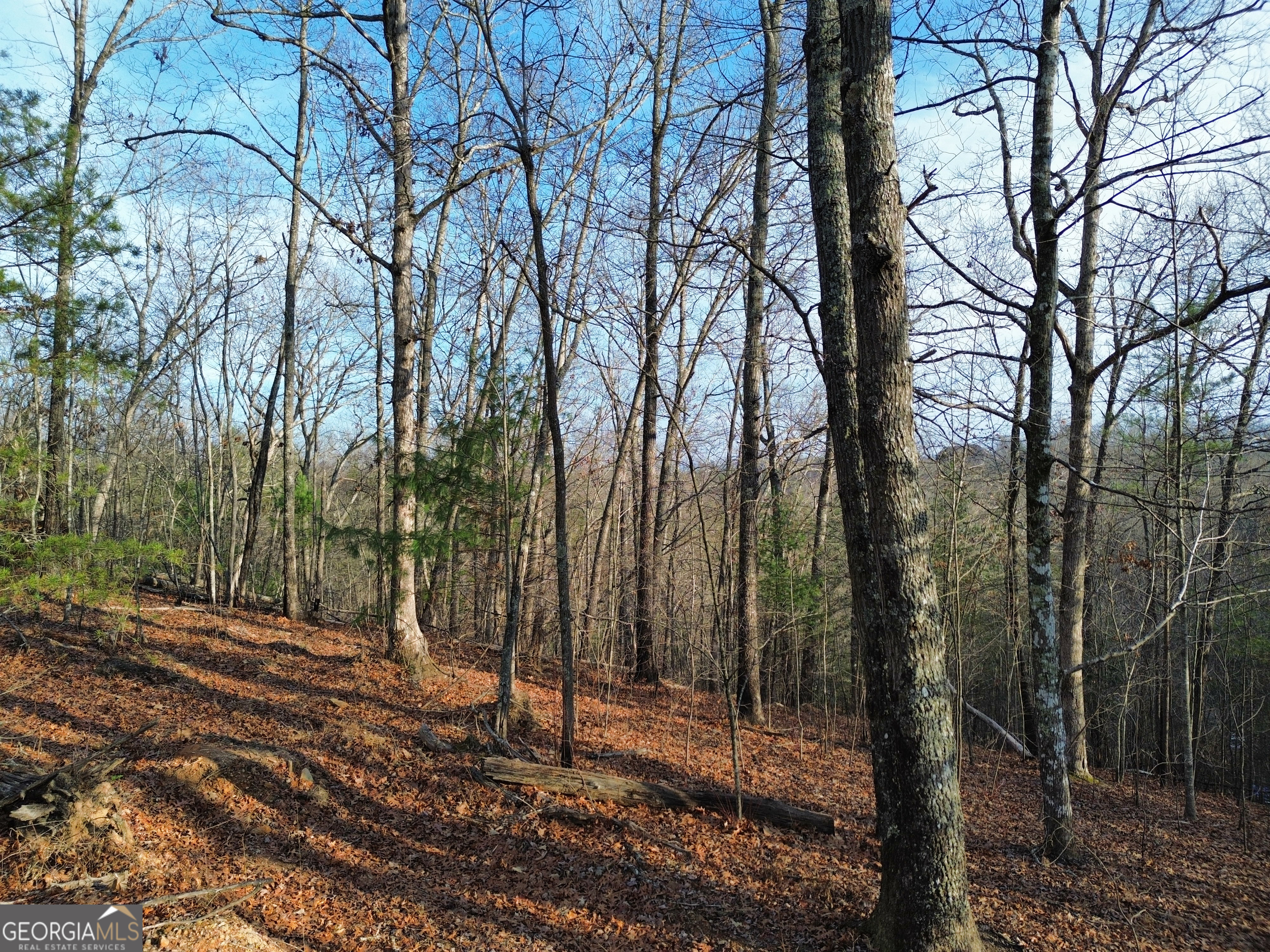 Tract 1 Century Lane Blue Ridge, GA 30513 - Photo 39 of 43