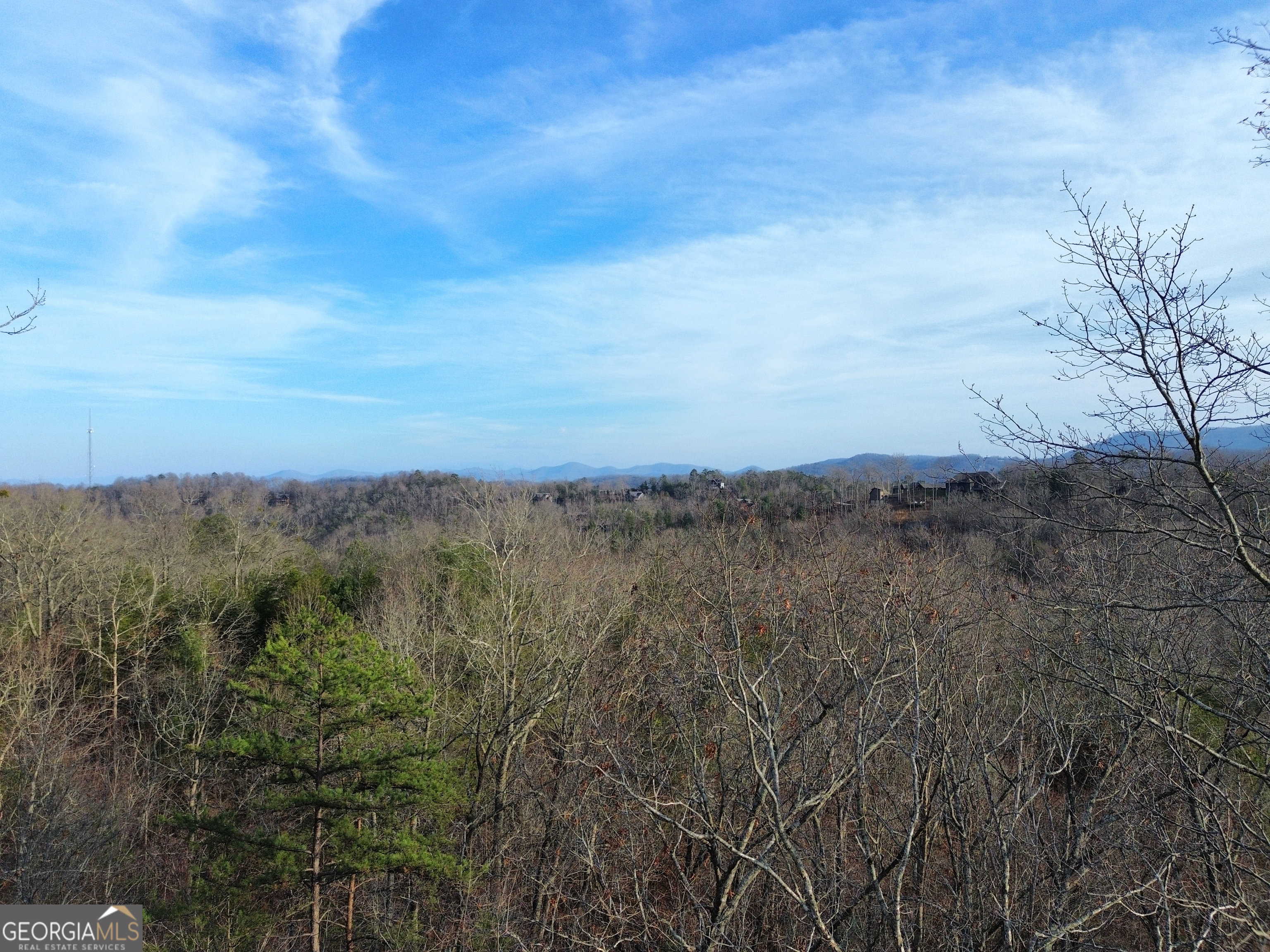 Tract 1 Century Lane Blue Ridge, GA 30513 - Photo 40 of 43