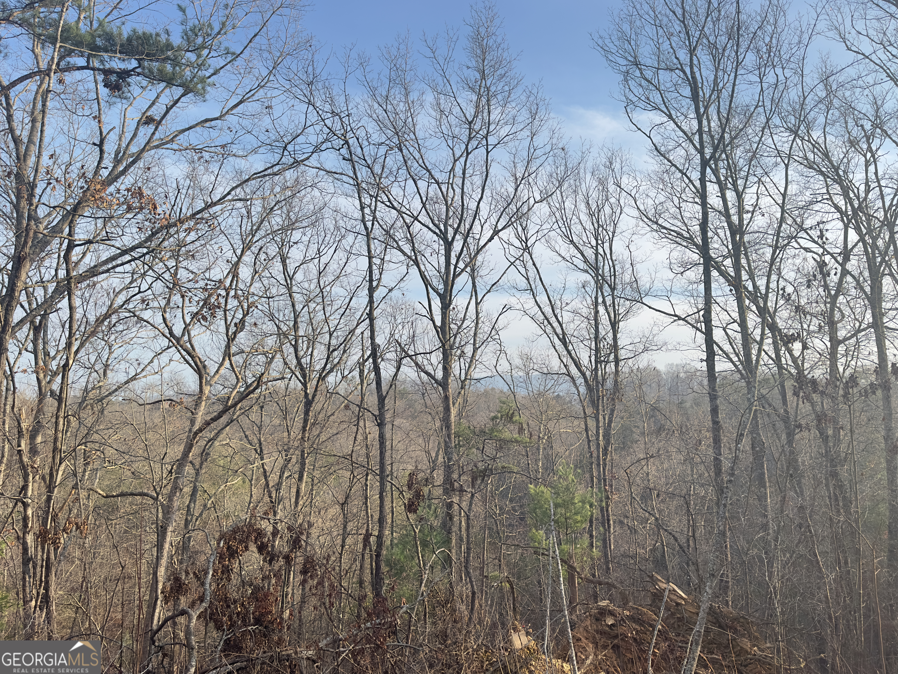 Tract 1 Century Lane Blue Ridge, GA 30513 - Photo 42 of 43