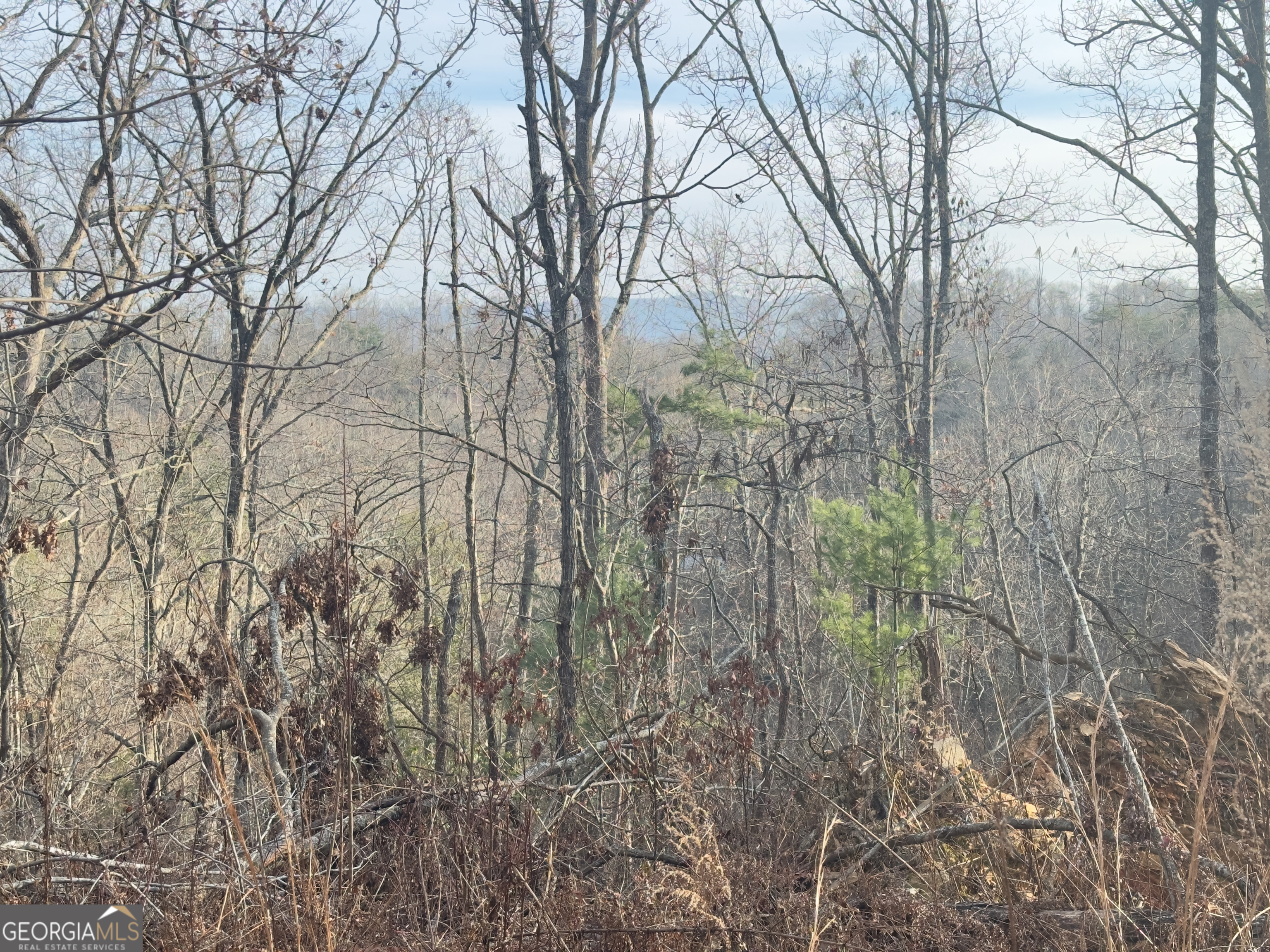 Tract 1 Century Lane Blue Ridge, GA 30513 - Photo 43 of 43