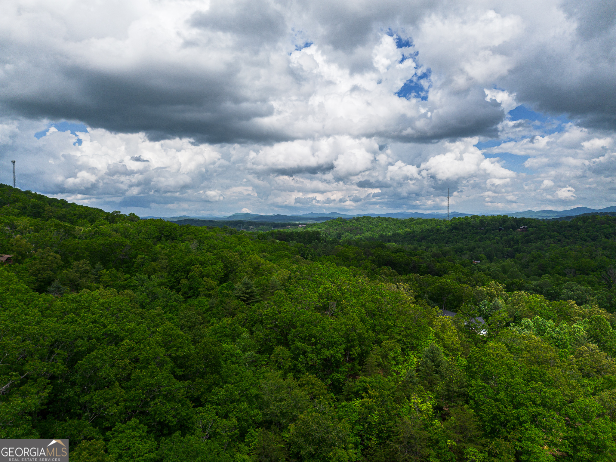 Tract 1 Century Lane Blue Ridge, GA 30513 - Photo 7 of 43