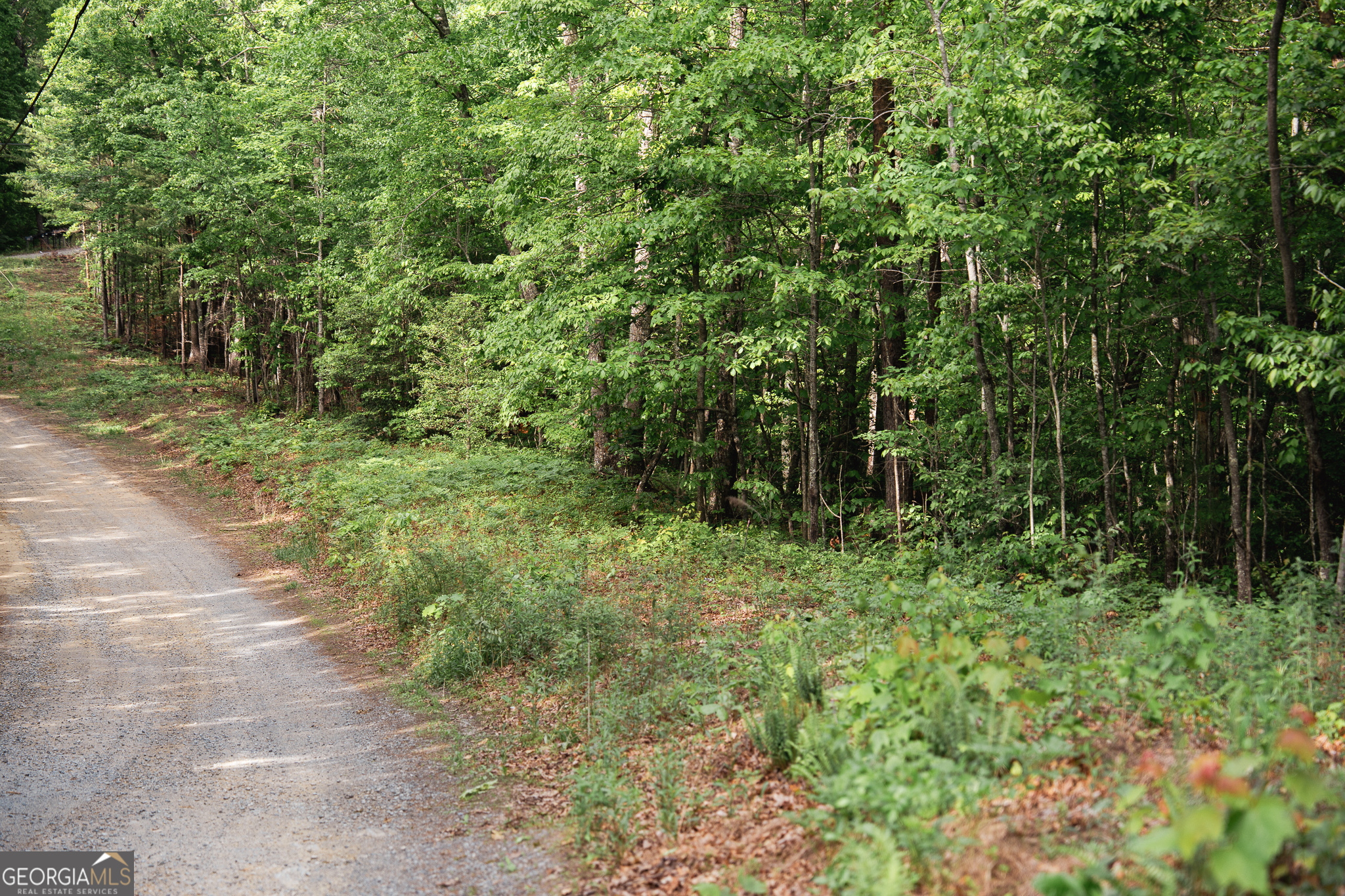 Tract 1 Century Lane Blue Ridge, GA 30513 - Photo 9 of 43