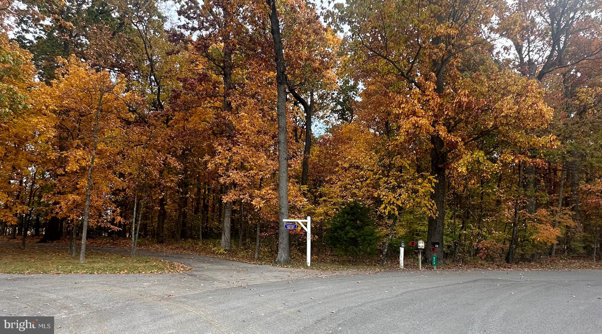 575 Whitmer Road Shenandoah Junction, WV 25442 - Photo 84 of 94 Gallery Image 84