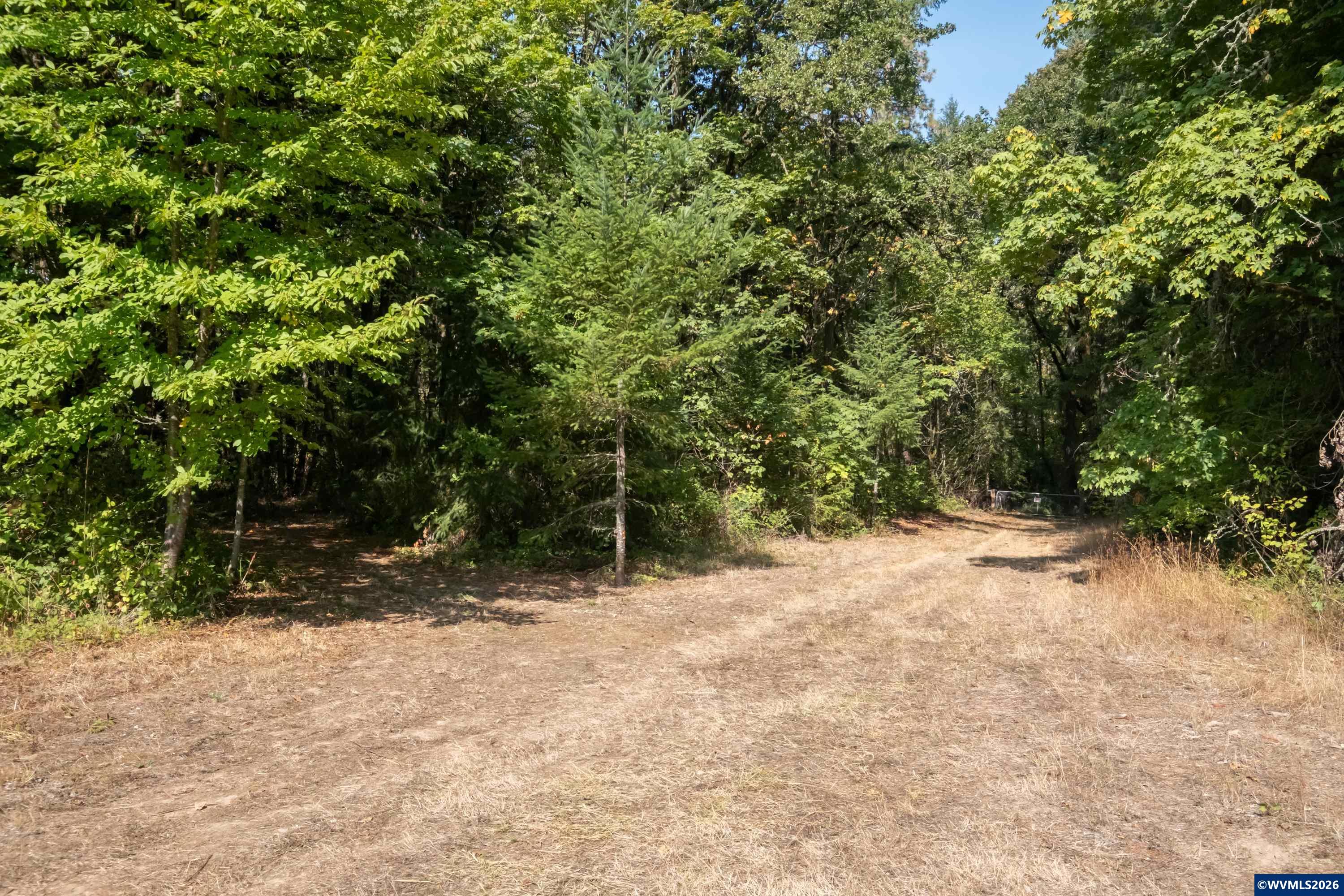 Pp2020-49 Lot#2 North Pp2020-49 Road Albany, OR 97321 - Photo 8 of 36