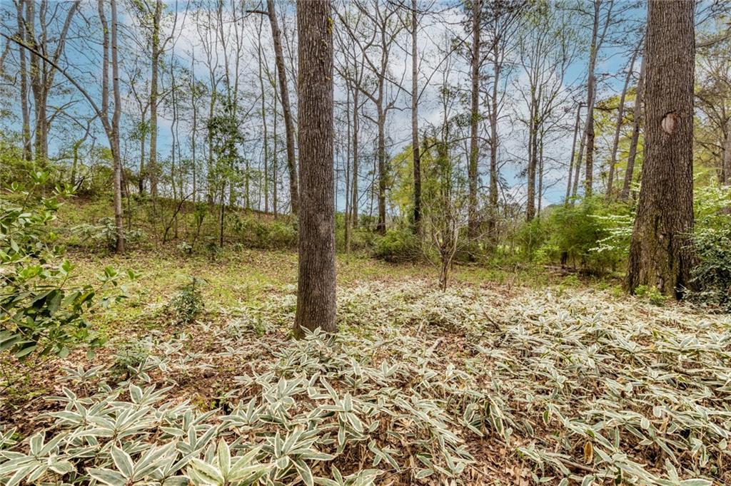 770 Riverbend Road Monroe, GA 30655 - Photo 39 of 47