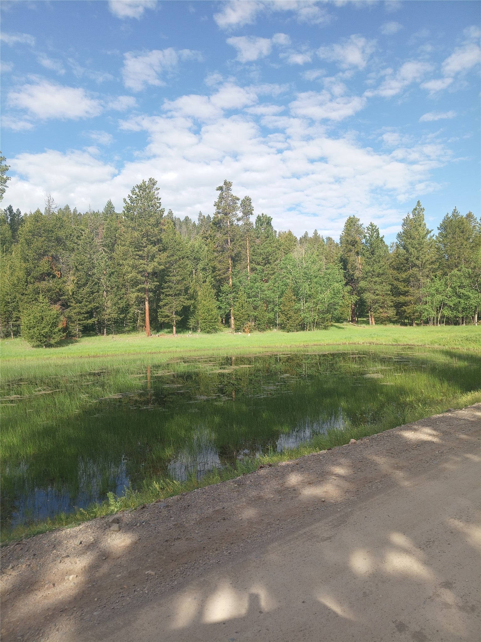 1623 Herrin Lake Road Lincoln, MT 59639 - Photo 44 of 58 Gallery Image 44
