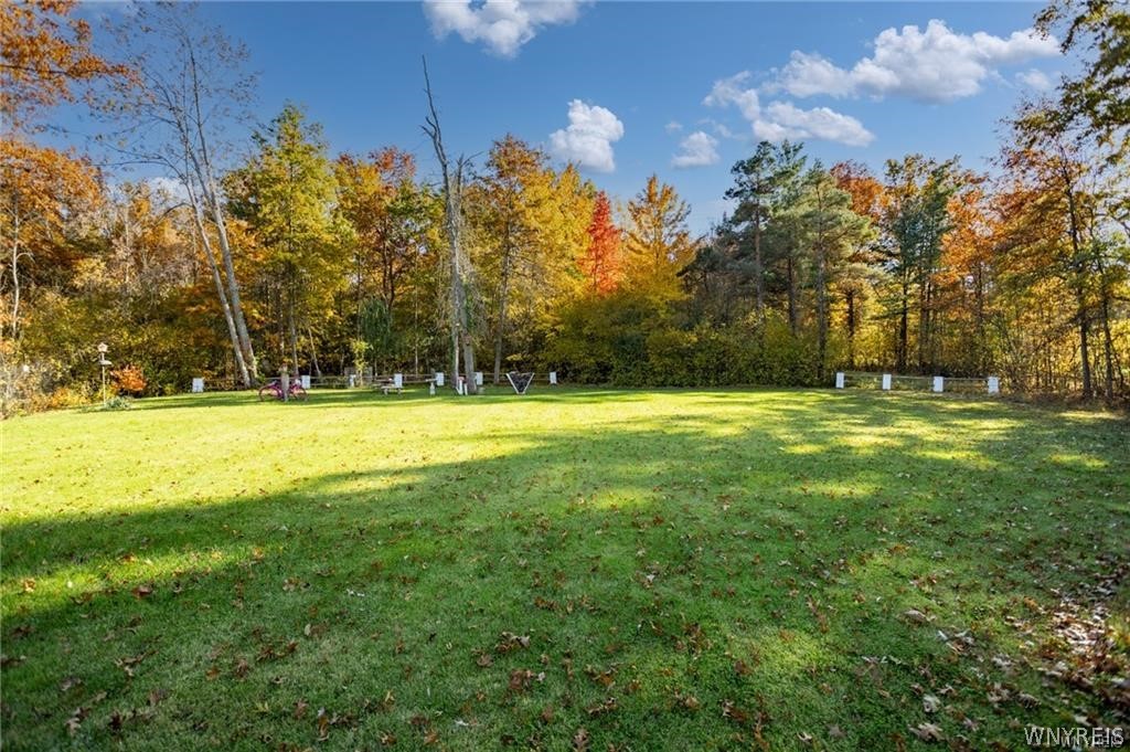2780 Love Road Grand Island, NY 14072 - Photo 30 of 35