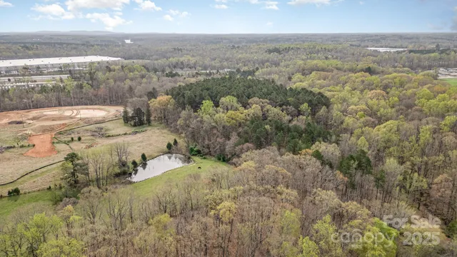 a view of a tree with a yard