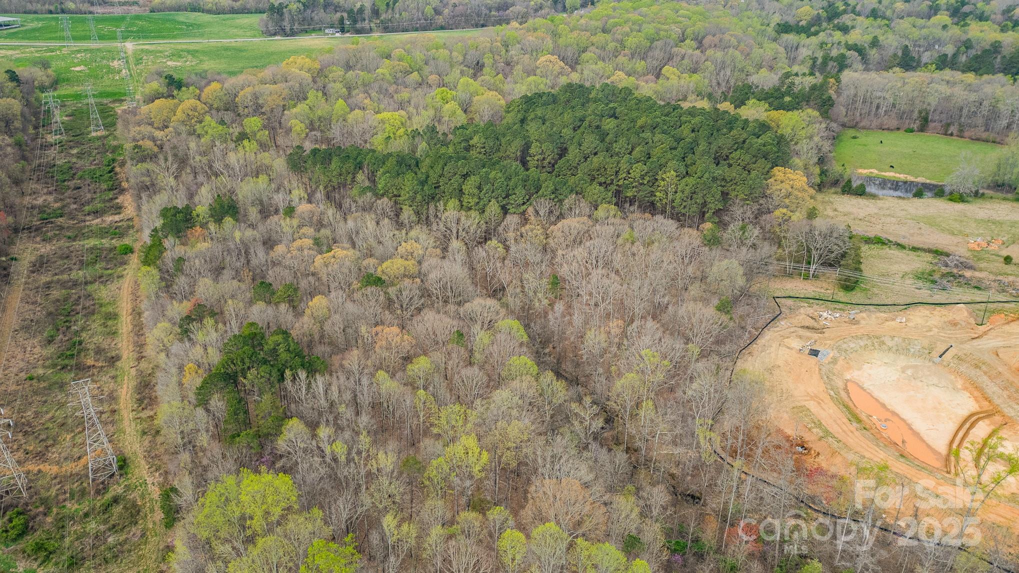 0 Snider Street Salisbury, NC 28144 - Photo 9 of 14 a view of a tree with a yard