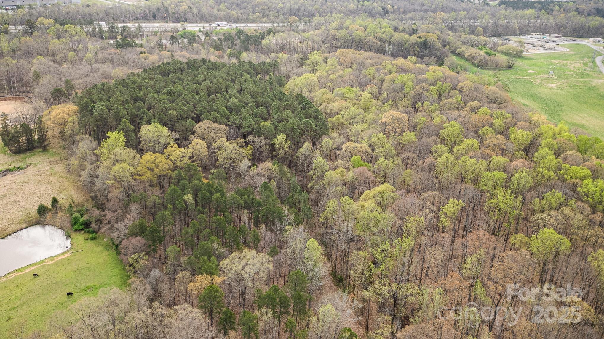 0 Snider Street Salisbury, NC 28144 - Photo 10 of 14 a view of a dry yard