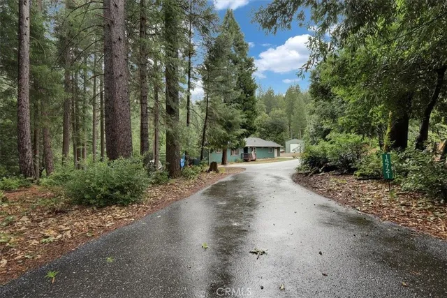 a view of a road with trees in front of it