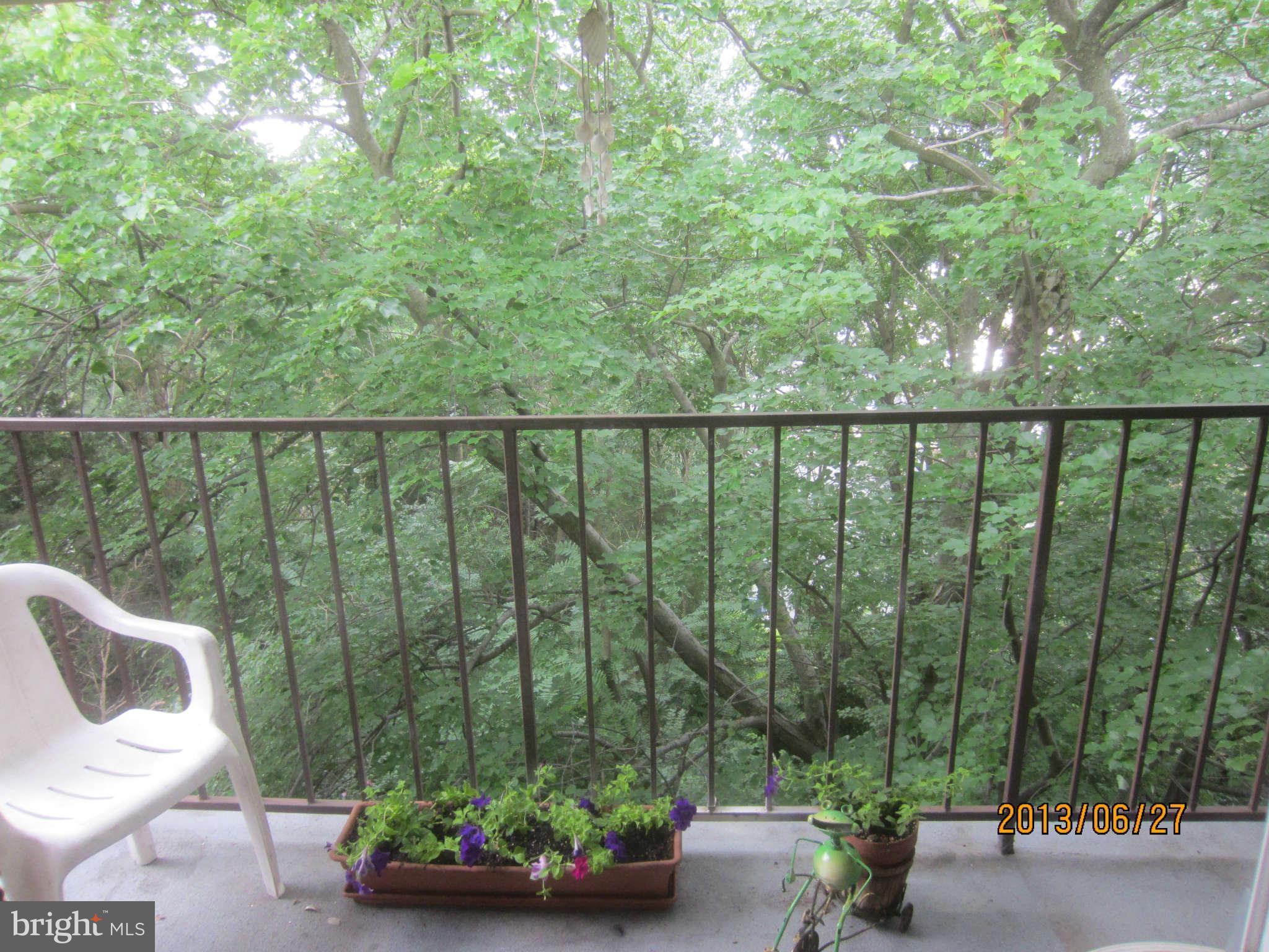 6250 Edsall Road, Unit 402 Alexandria, VA 22312 - Photo 16 of 18 Exterior Rear