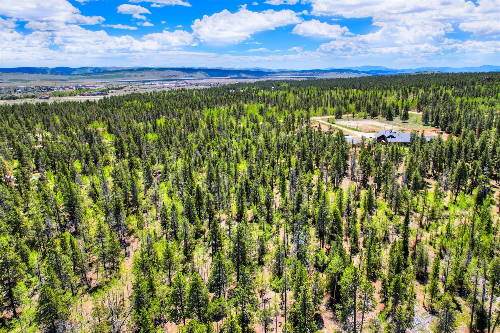 337 Busch Run Fairplay, CO 80440 - Photo 7 of 18 a view of a yard