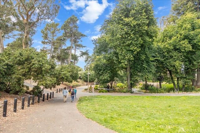 a view of a park with large trees