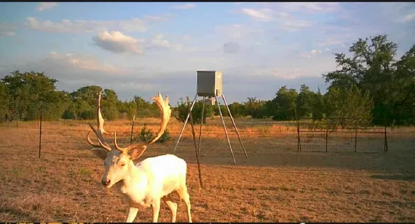 $9,975,000 | 7800 County Road 210, Bertram, TX 78605