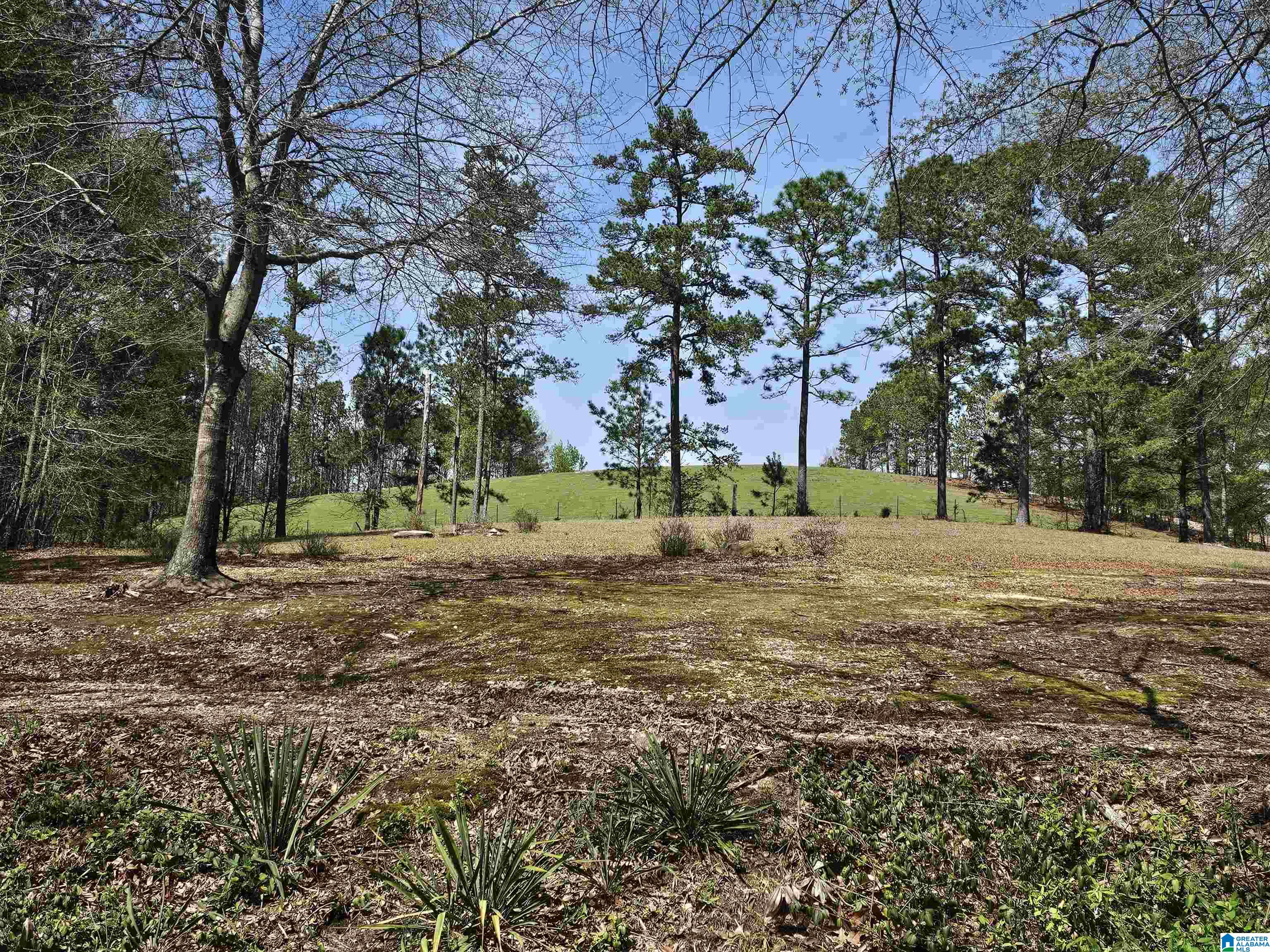 684 County Road 11 Heflin, AL 36264 - Photo 29 of 30