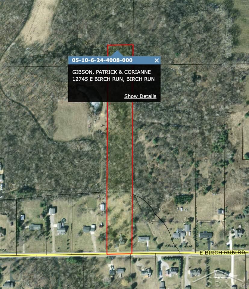 12745 Birch Run Road Birch Run, MI 48415 - Photo 20 of 20 31399220-19.JPG