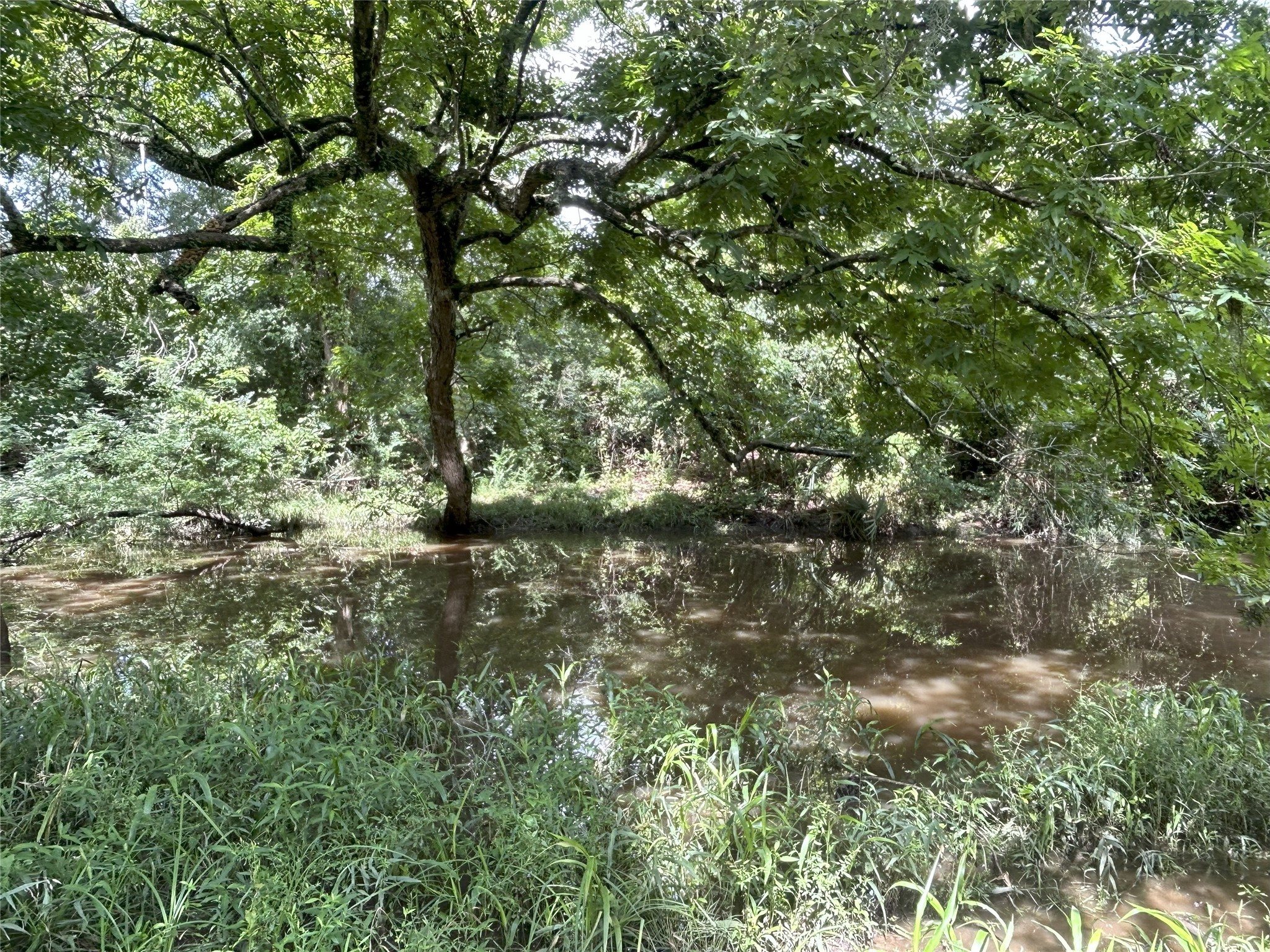 Tbd Holik Road Hempstead, TX 77445 - Photo 47 of 50