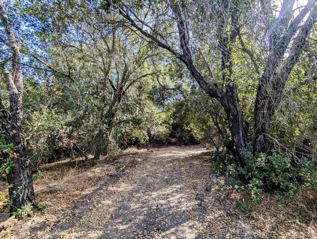 De Luz Heights Road Fallbrook, CA 92028 - Photo 18 of 62