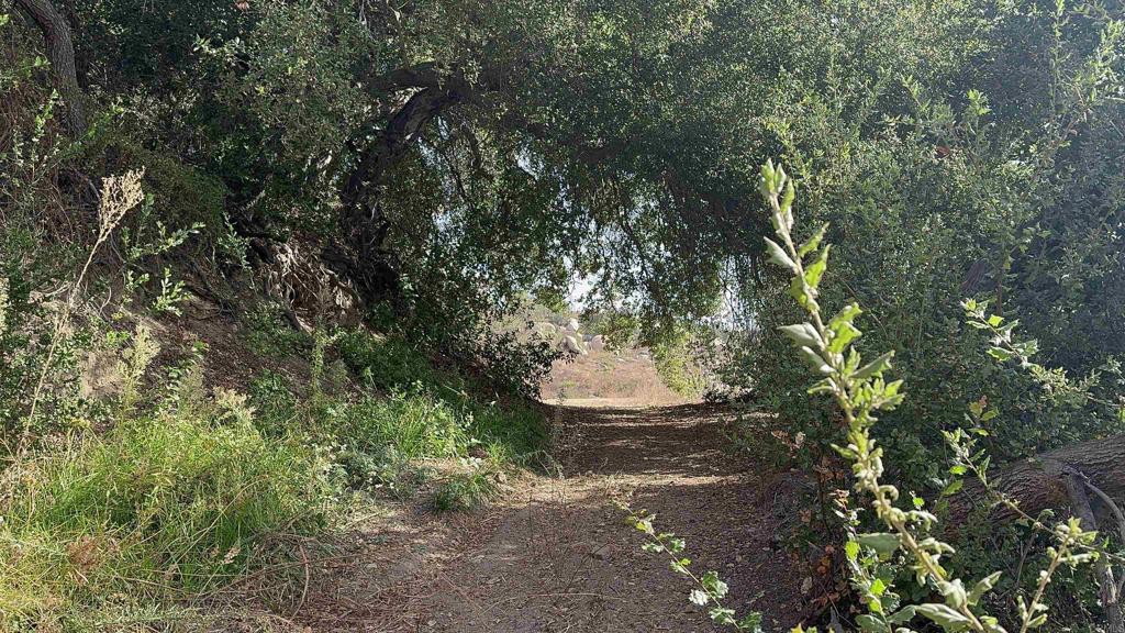 De Luz Heights Road Fallbrook, CA 92028 - Photo 22 of 62