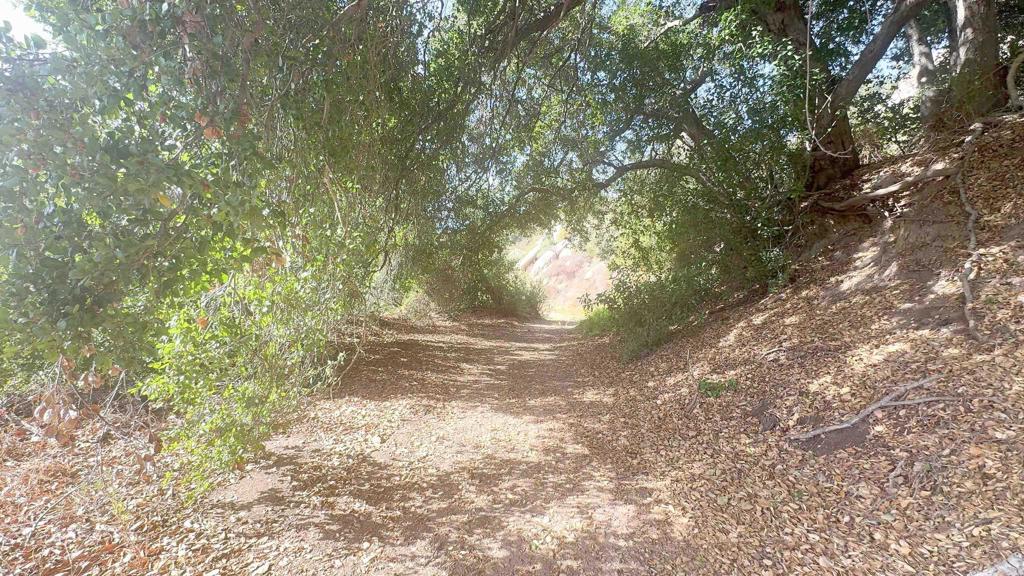 De Luz Heights Road Fallbrook, CA 92028 - Photo 23 of 62