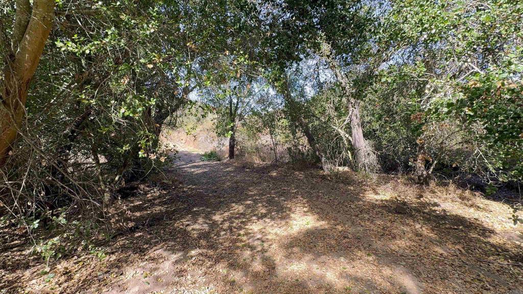 De Luz Heights Road Fallbrook, CA 92028 - Photo 24 of 62