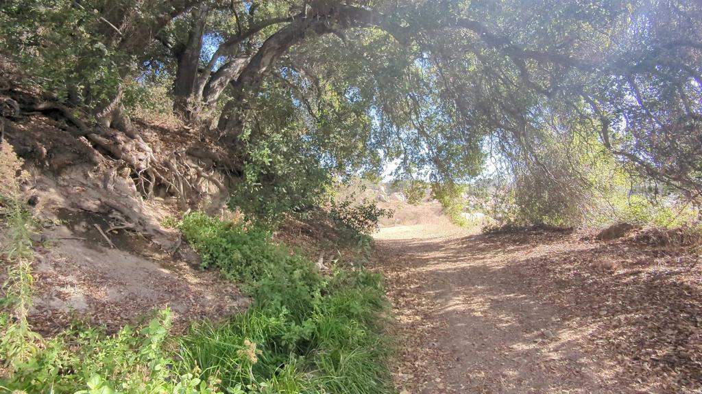 De Luz Heights Road Fallbrook, CA 92028 - Photo 25 of 62