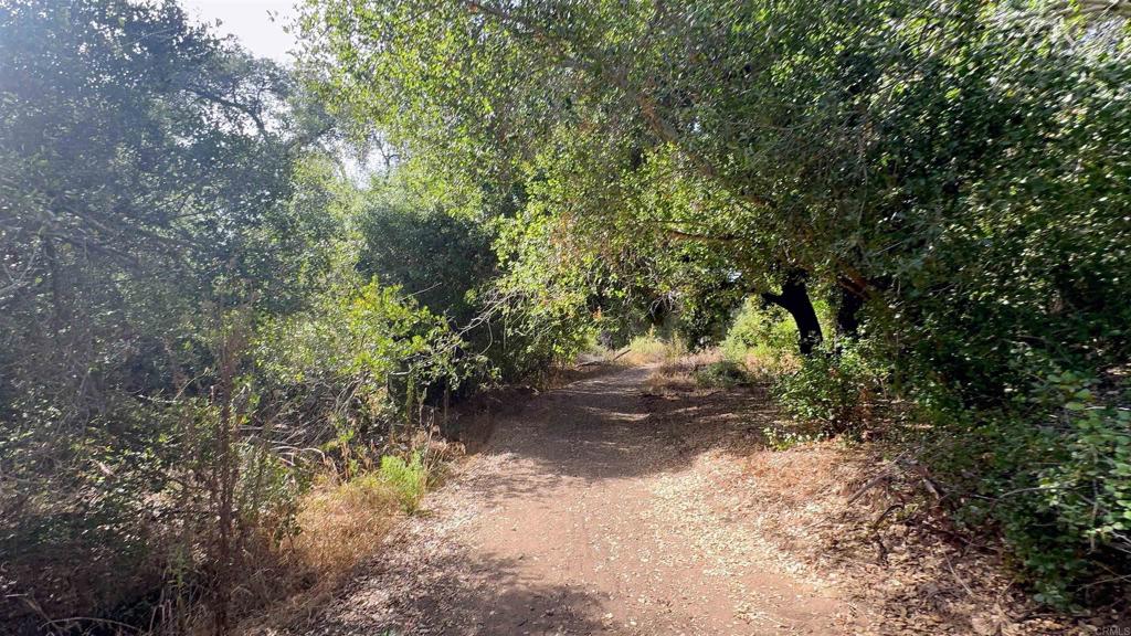 De Luz Heights Road Fallbrook, CA 92028 - Photo 32 of 62