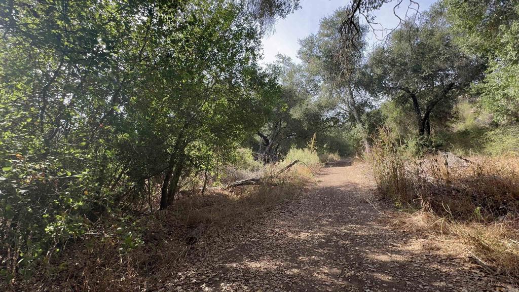 De Luz Heights Road Fallbrook, CA 92028 - Photo 34 of 62