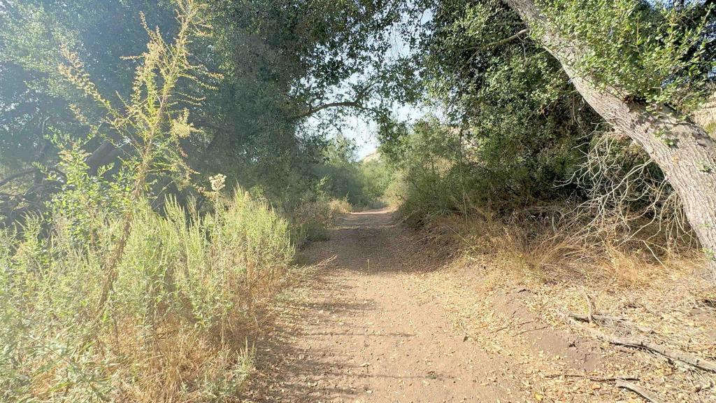 De Luz Heights Road Fallbrook, CA 92028 - Photo 35 of 62