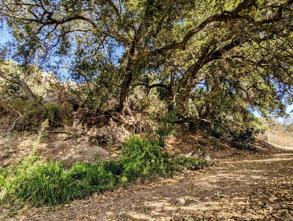 De Luz Heights Road Fallbrook, CA 92028 - Photo 49 of 62