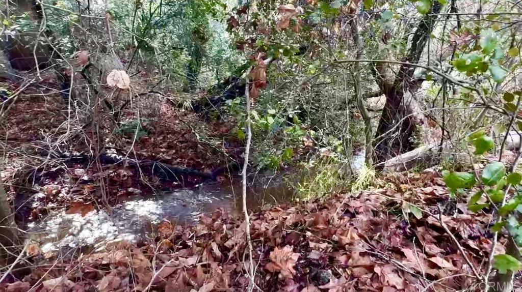 De Luz Heights Road Fallbrook, CA 92028 - Photo 5 of 62 Seasonal Creek