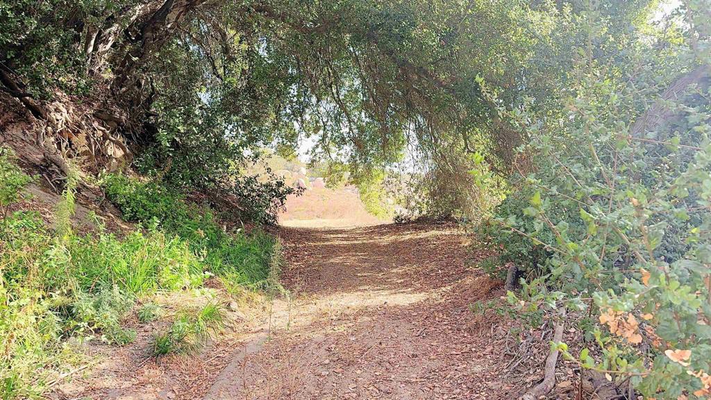 De Luz Heights Road Fallbrook, CA 92028 - Photo 9 of 62
