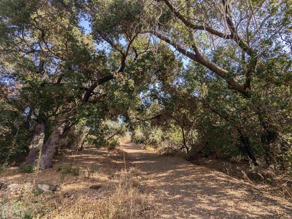 De Luz Heights Road Fallbrook, CA 92028 - Photo 10 of 62