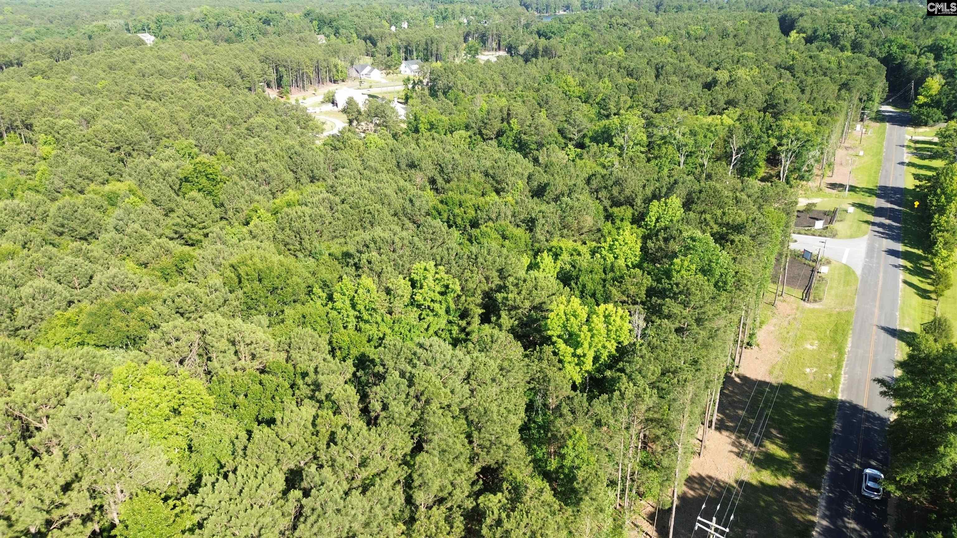 60 Circle H Woods Road Prosperity, SC 29127 - Photo 32 of 32 a view of a lush green forest with lots of trees