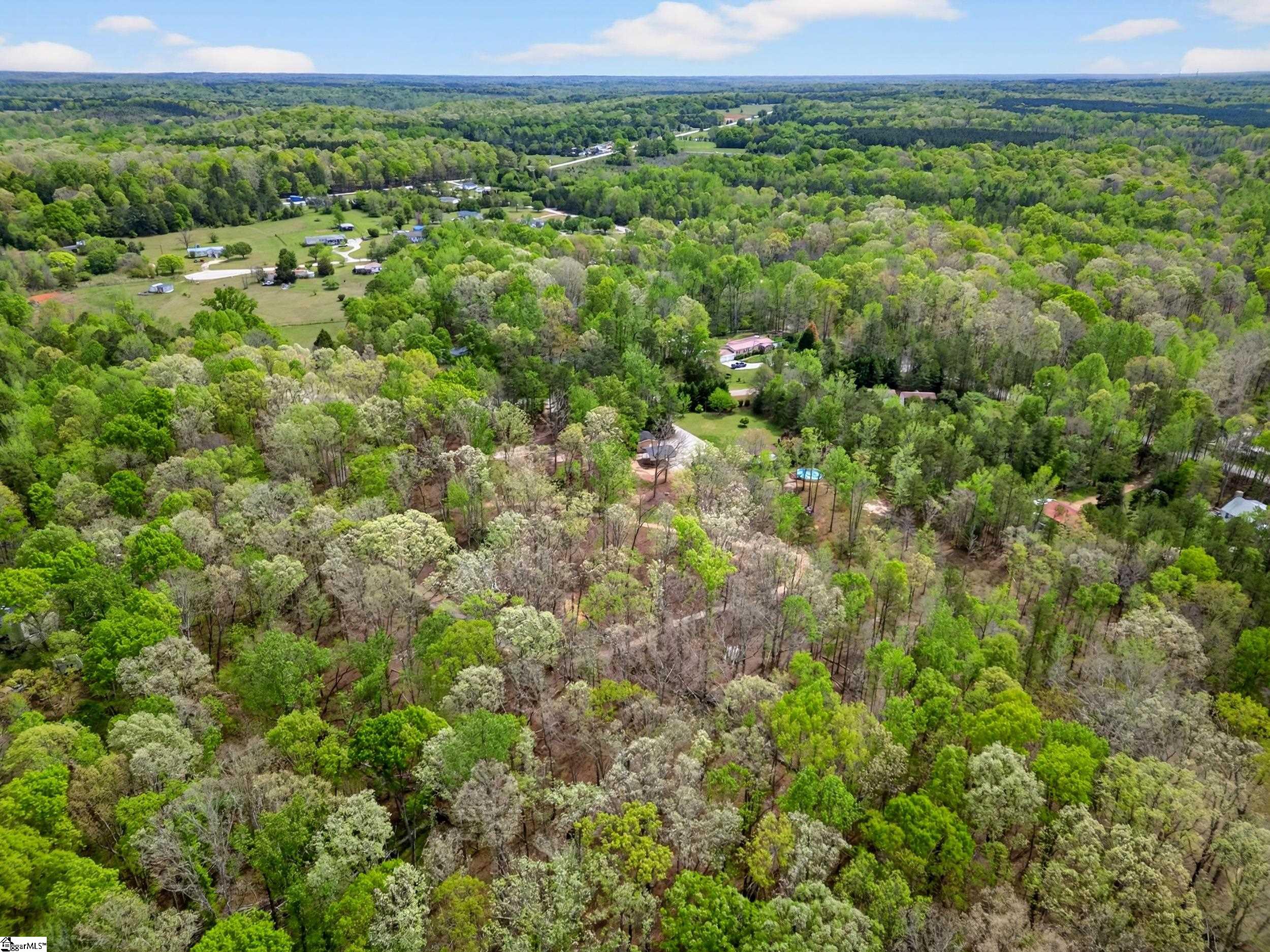 71 Lodgeview Court Gray Court, SC 29645 - Photo 47 of 47