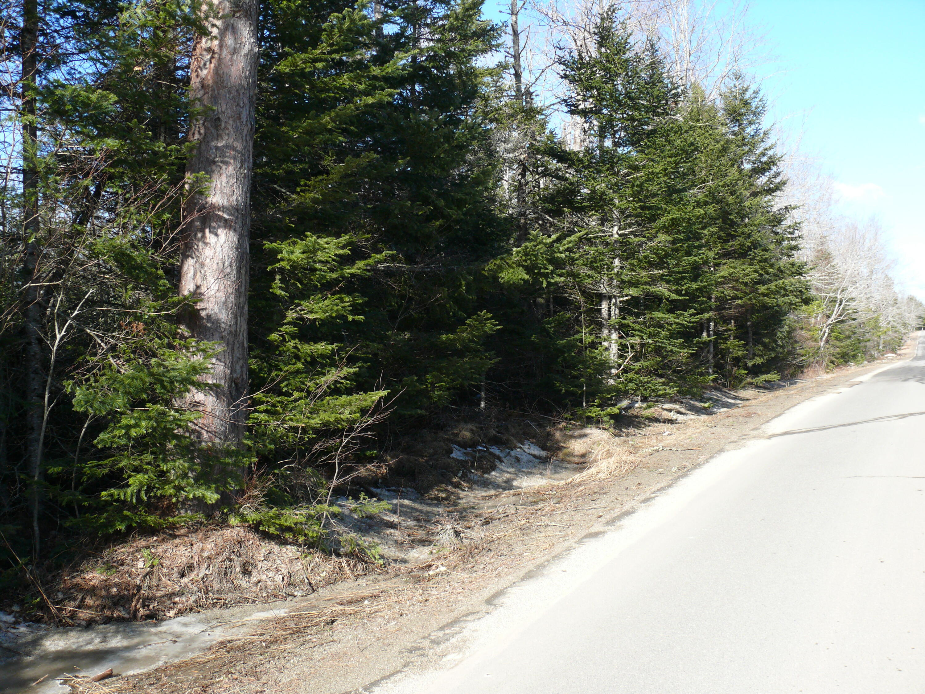 10 A Station Road Columbia, ME 04623 - Photo 5 of 14 P1410812