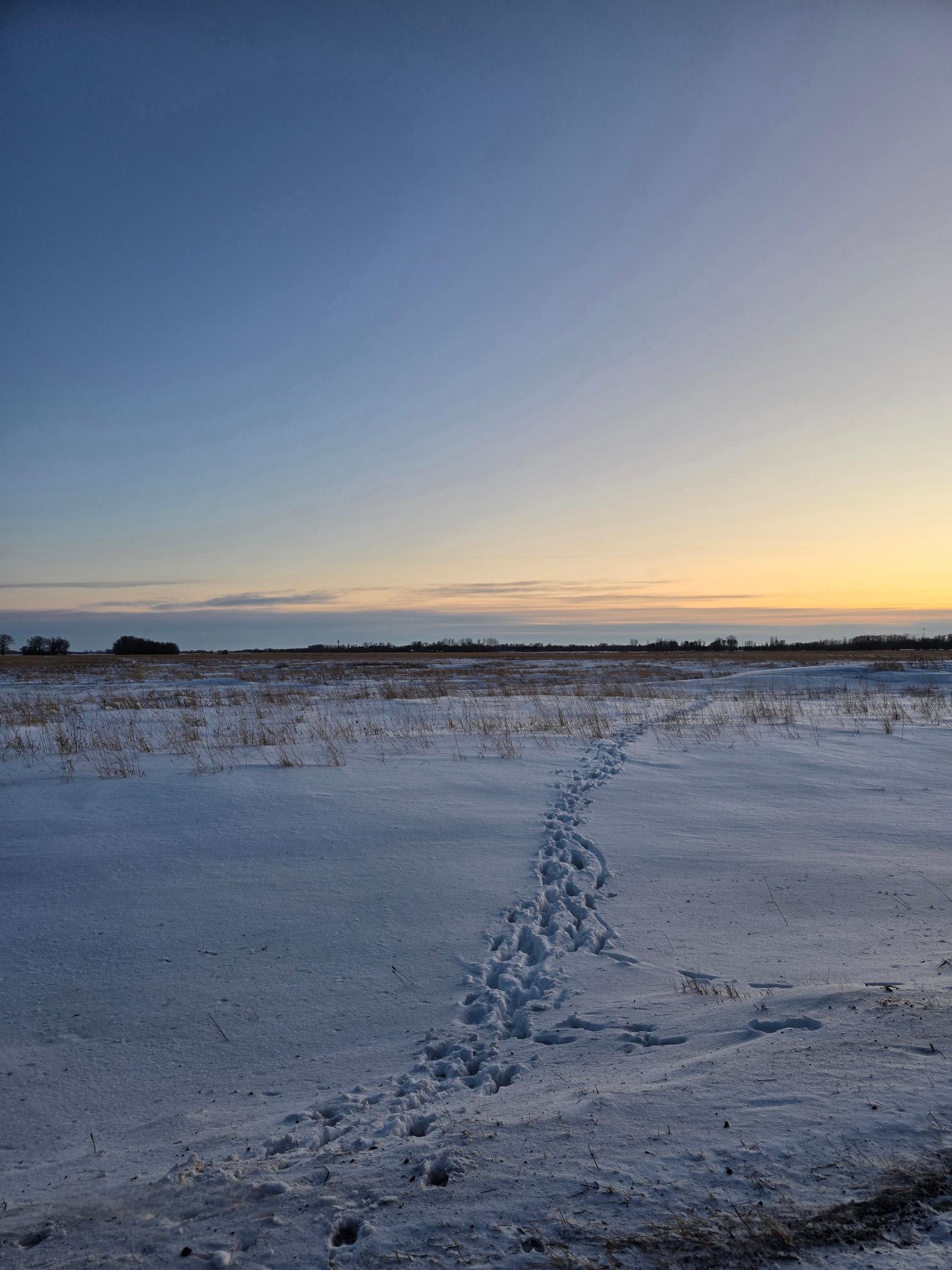 32 Gary Mn 56545 Gary, MN 56545 - Photo 1 of 12
